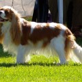 Ladataan...